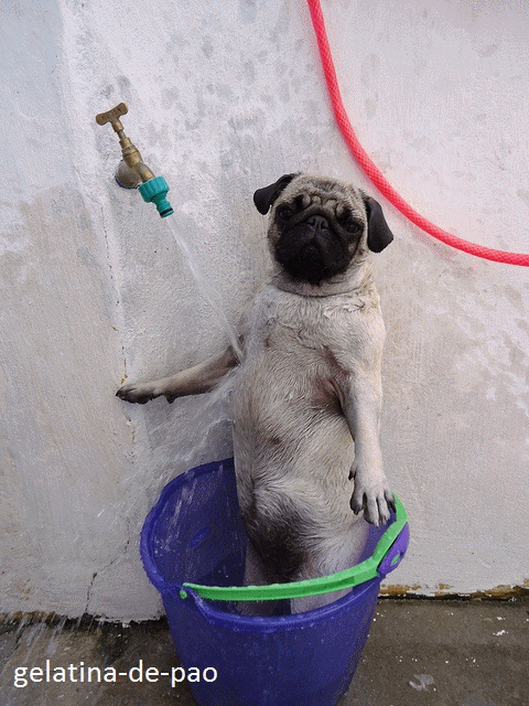 Bem Vindo ao meu Reino.