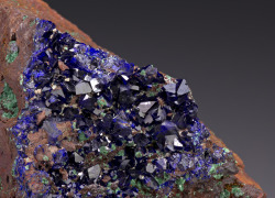 fuckyeahmineralogy:  Azurite; Mammoth-Saint