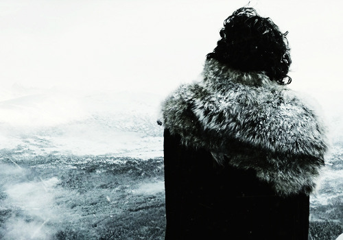 Game of Thrones Daily