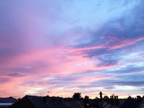 on the roof