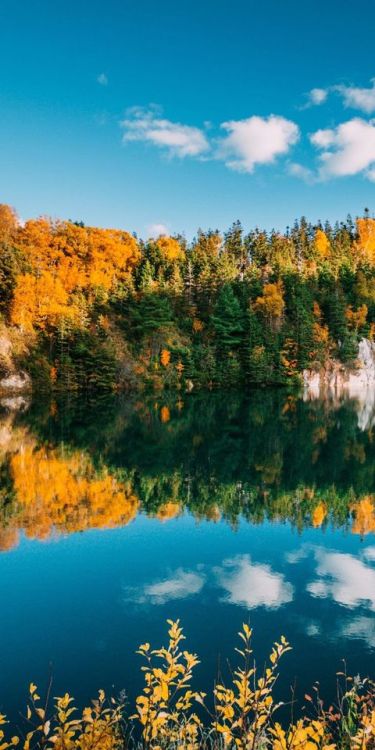 Lake, trees, nature, sunny day, reflections, 1080x2160 wallpaper @wallpapersmug : bit.ly/2EBf