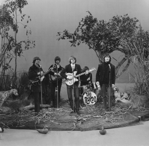 the–byrds:The Byrds on the Go Show, September 1965.