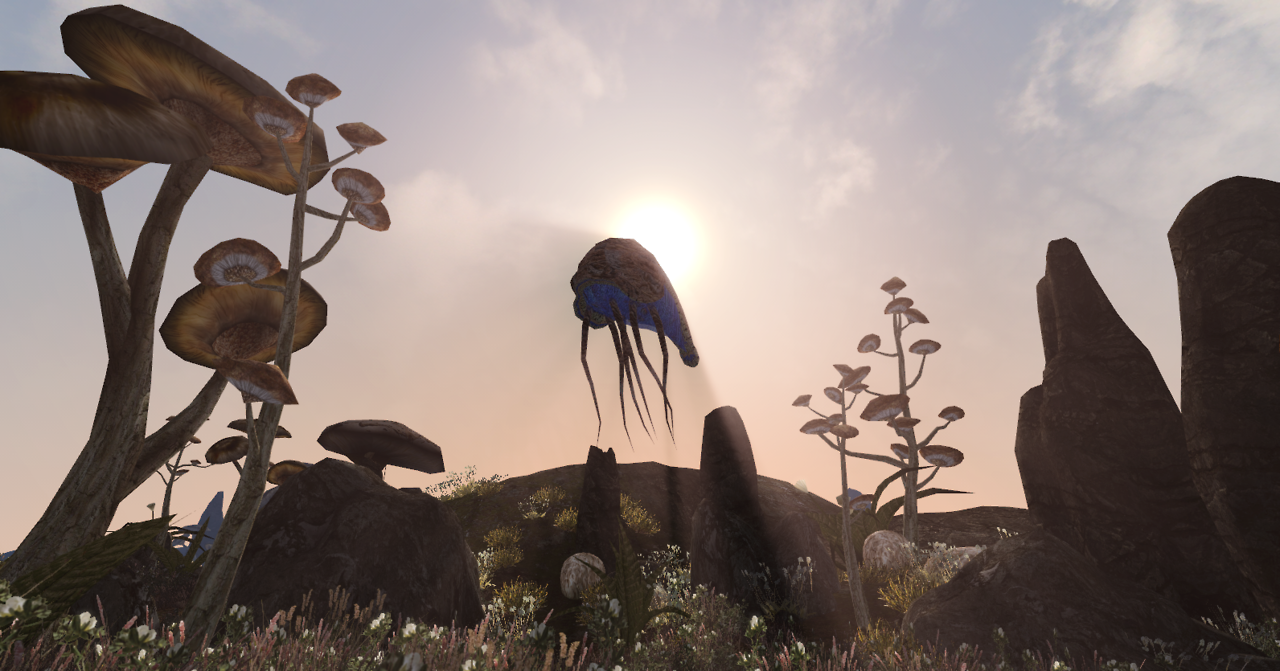 Morrowind Survival Mods: Which one is for you?