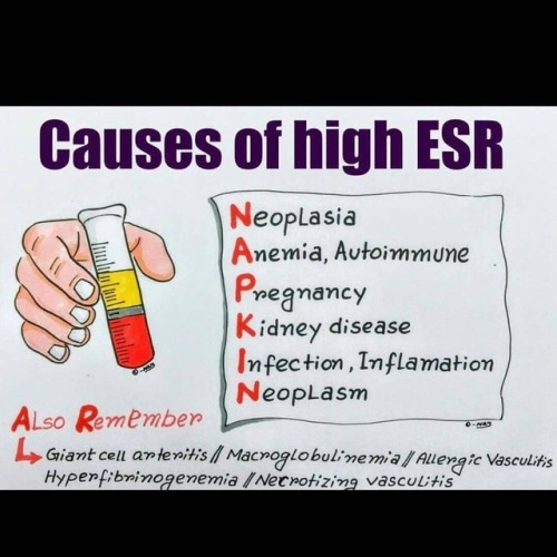 #medicine #medstudent #medlife #medstudynotes #medschool #blood #pathology #medical #mbbs #kaher #un