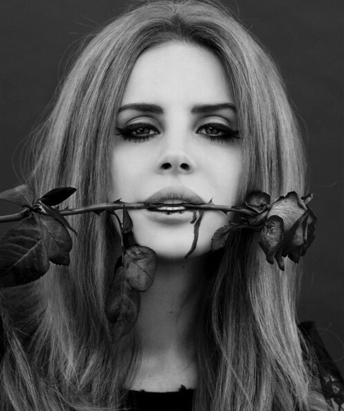 هناك من يتذمر لأن للورد شوكًا، وهناك من يتفاءل