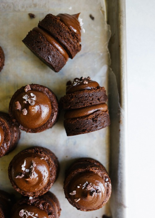 beautyandtheuniverse:Brownie Petit Fours by Kate Wood