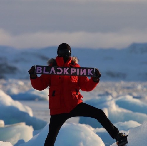le-twinkle: officialjisoo: this dude literally brought a blackpink banner to antarctica Blackpi