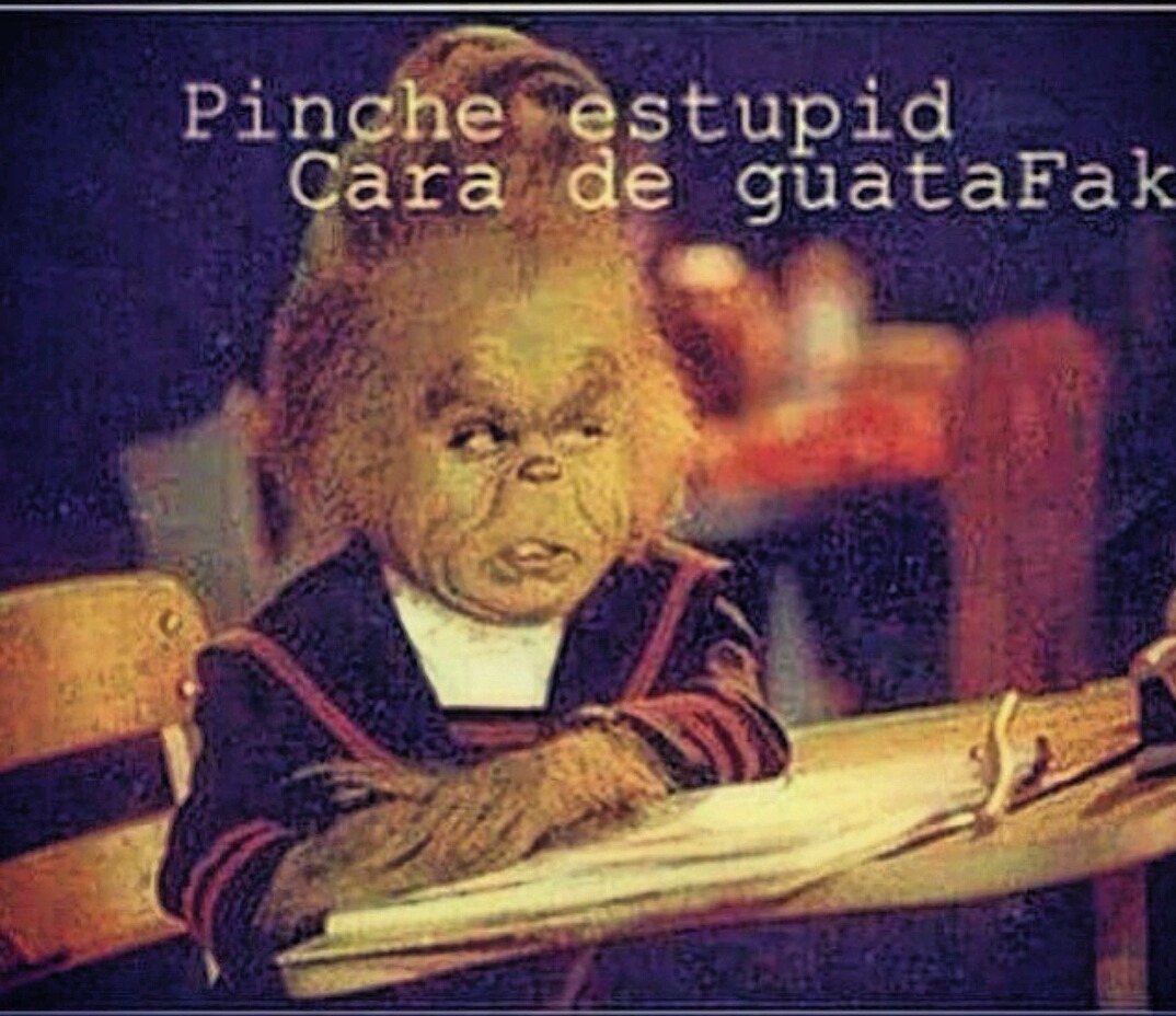 me-conocen-como-chela:  me when people are annoying me.