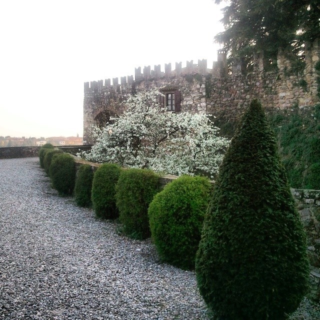 #castle #castello #architecture #architettura #trees #spring #primavera #gate