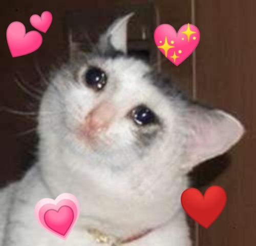 Send This To The Twelve Nicest People You Know Or Seem To Have A Good Heart And If You Get Five Back