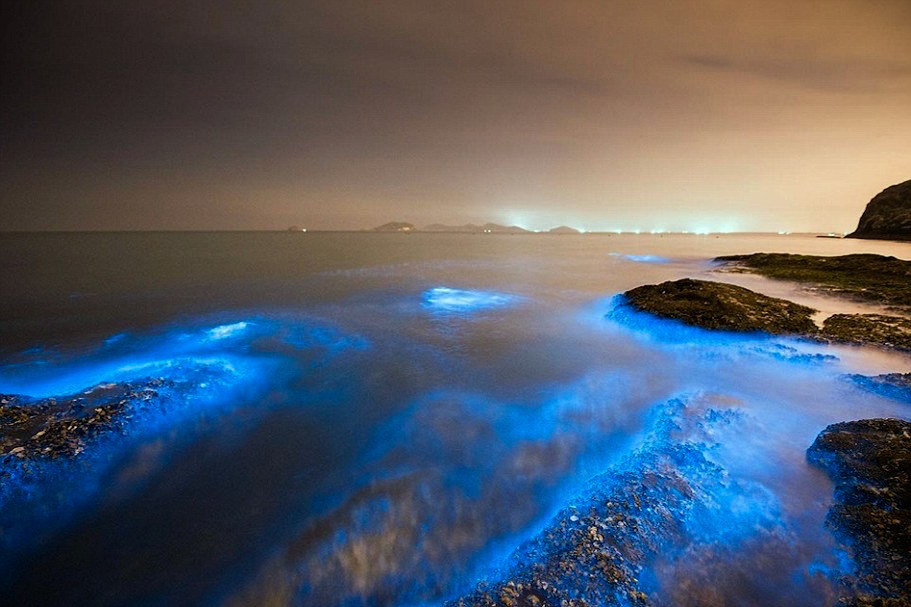 nubbsgalore:  though beautiful, these fluorescent blue patches of water are an indicator