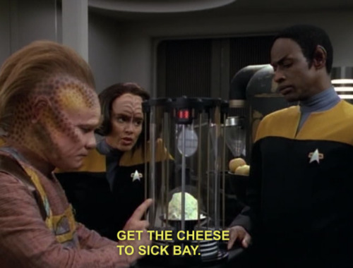 taejira: get the cheese to sick bay when people say &lsquo;but WHY should I watch star trek?&