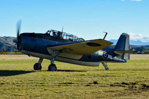 nzaircraft - Grumman Avenger at Classic Fighters 2017 Keep...