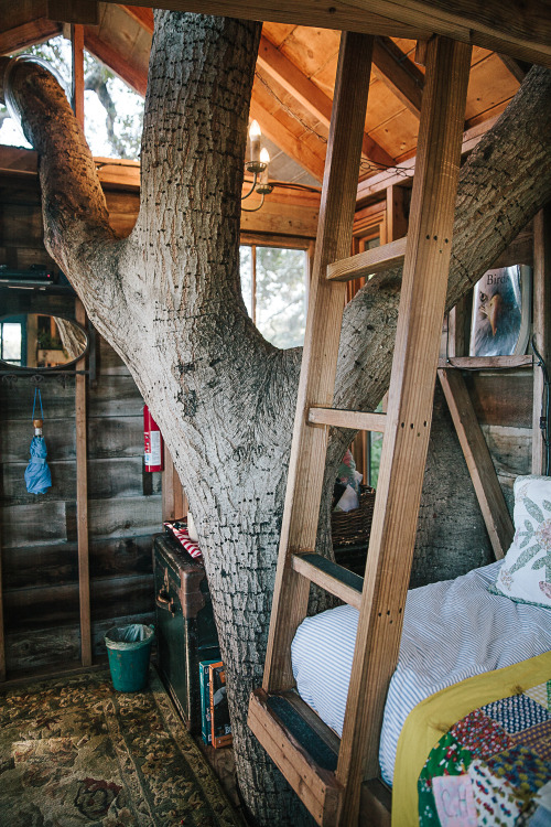 urbanoutfitters:This treehouse is our dreamhouse. (Photo by Daniel Dent)