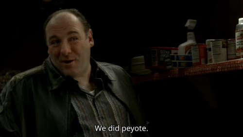 Does it damage the Sopranos mythos when the writers retcon in superpowers with the final season?~ Th