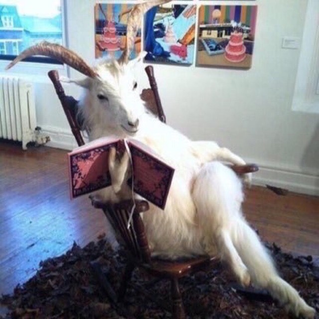 tokoshi:  my 2019 resolution is to live deliciously  
