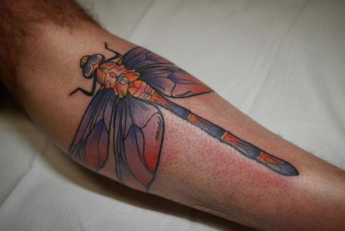 Dragonfly for Tony! Thanks so much:) give me all the bug tattoos #pctumptattoos #thebutchertattoo #d