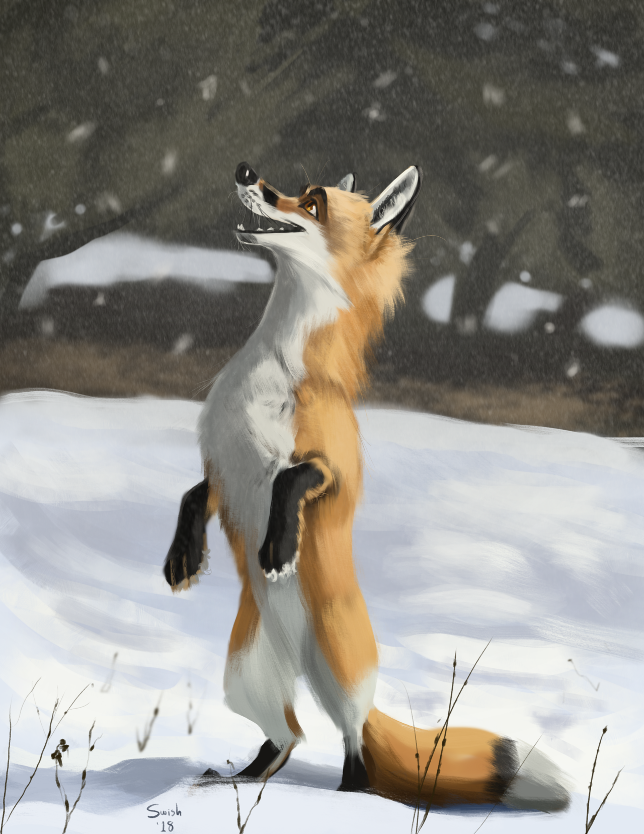 swishchee: I like making wildlife photos cartoony sometimes Eeee &lt;3