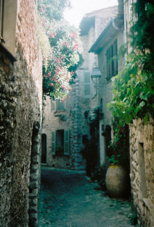 (by emilyharriet)