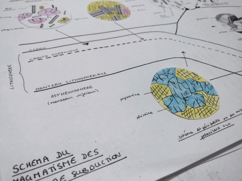 paulinestudyblr:17.01.2017 // 10:05pm [19/100]Working on geology, I have to admit it’s not my favour