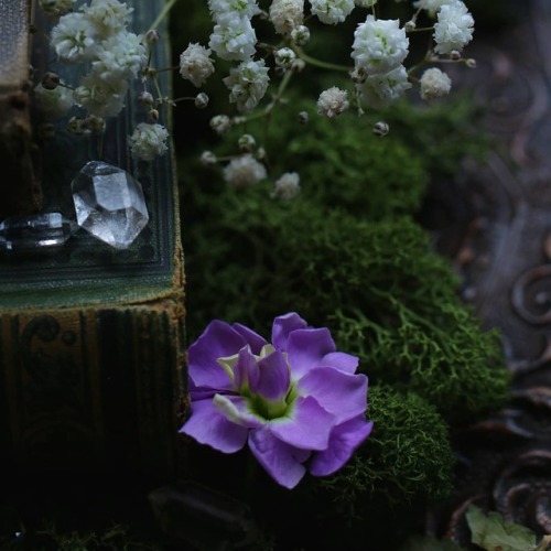 Some old, some new photographs and handmade jewelry by me instagram.com/s90377 | etsy.com/shop/Sedna