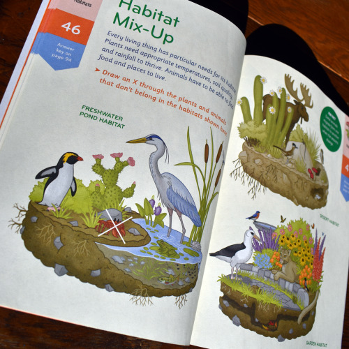 Who’s not in their proper habitat?  The “Habitat Mix Up” pages of, Nature Smarts Workboo