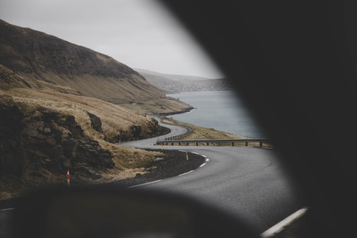 samelkinsphoto:Faroe Islands, April 2017. adult photos