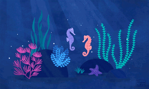 Some seahorses to brighten your day