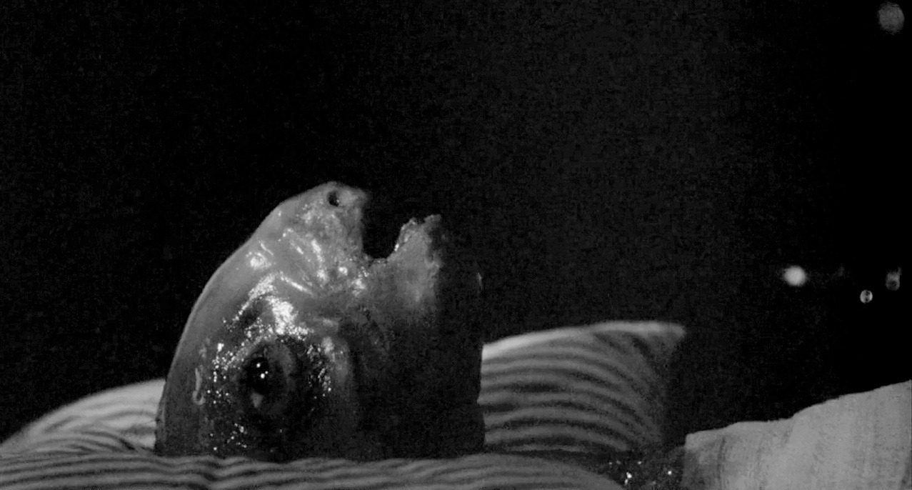 cinematographiliac:  Endless list of beautiful cinematography Eraserhead (1977) Directors