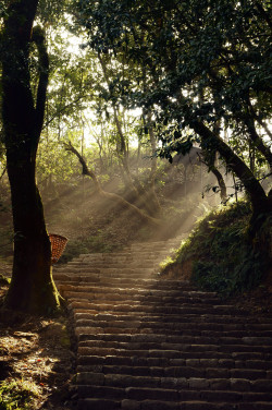 ohthentic:  mystic-revelations:  Stairway