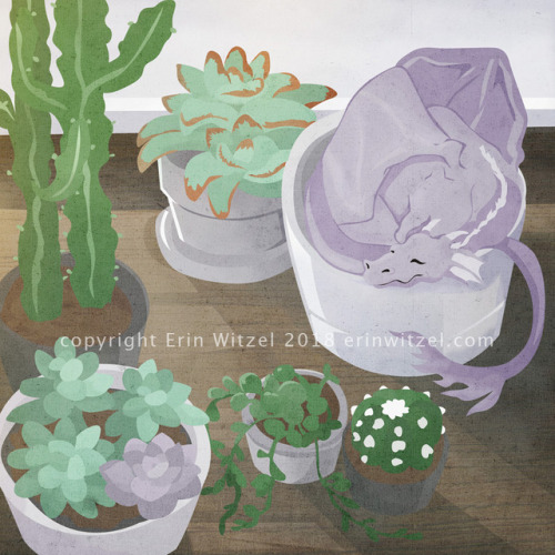 erinwitzel: a tiny purple dragon sleeps amongst its tiny succulent garden… Sorry for the giant water