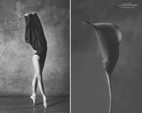 Porn vintagepales: “Ballerina and Flowers" photos