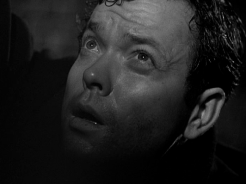 carmelasoprano - The Third Man (1949), dir. Carol Reed