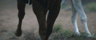 846a2f23177b8003ef9802b38c84376446aa92bd.gifv