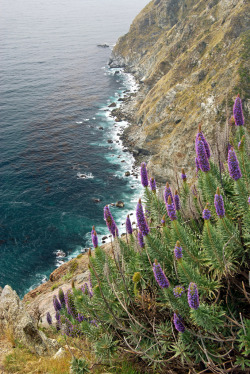 tinnacriss:   	Big Sur Coast by mark pillsbury     