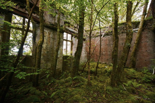 Poltalloch Houseabandoned Victorian mansion in Scotland, built around 1849 and left to fall into dis