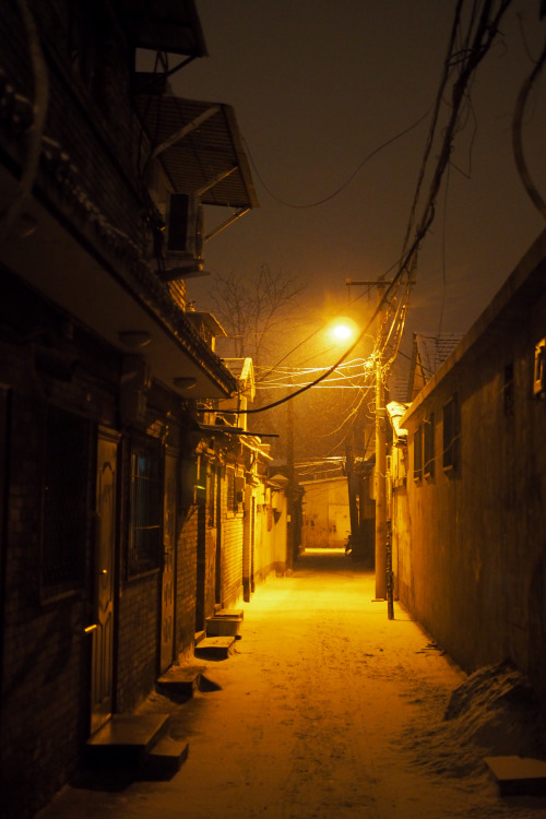 pprodigal:  Snow day. 样房胡同，Beijing