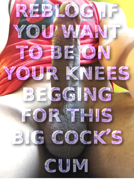 go-my-pretiouse-shemale:snowballingsissycumslut:horny-boy99 ‘s big cock!:O  <3<3<3I love th