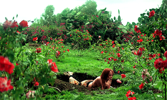 witchinghour:  WITCHES IN FILM: The Craft (1996), Suspiria (2018), Harry Potter (2001