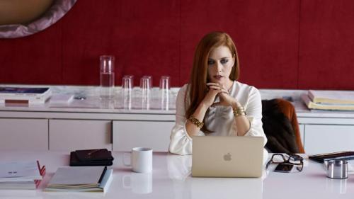 nocturnal animals