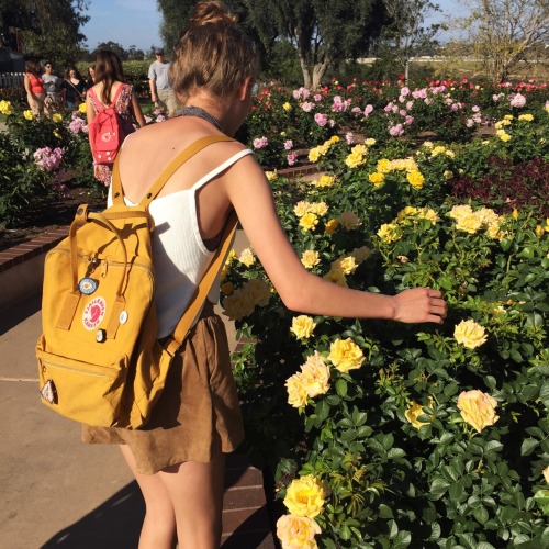 effervescentvibes:   good vibes here 