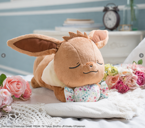 Pokemon “Eeveelution &amp; Floral Candy” Ichiban Kuji April 2020Tickets sold for about 650 yenPrize 