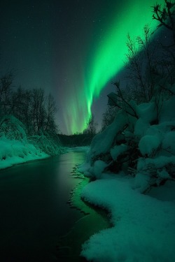 sublim-ature:  Nordland, NorwayArild Heitmann