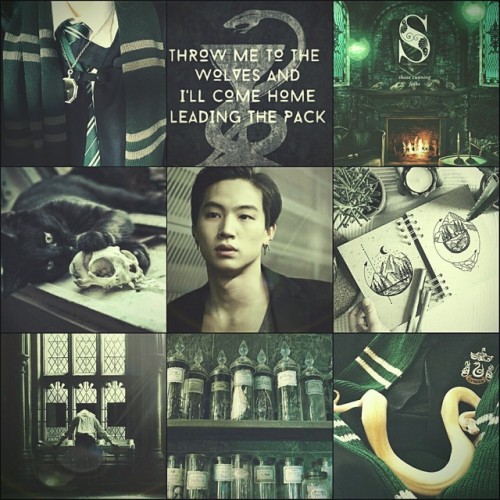 GOT7 Hogwarts Moodbard AU Introductory PostIm Jaebum : SlytherinFifth Year | 11″ Hornbeam, Horned Se