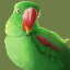 crazybirdperson