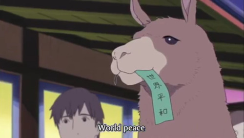everyonesamadao:  Animals have adorable wishes  