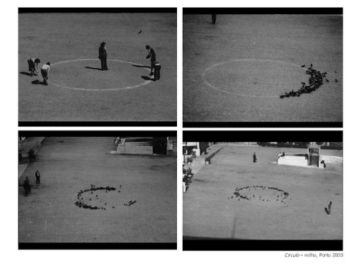 thegoldeneternity:  Dalila Gonçalves Circulo, (circle), 2003. Milho, Praça dos Poveiros, Porto  corn; Praça dos Poveiros, OportoC-print 35 x 50 cm. Série de 6 fotografias. Series of 6 photographs 