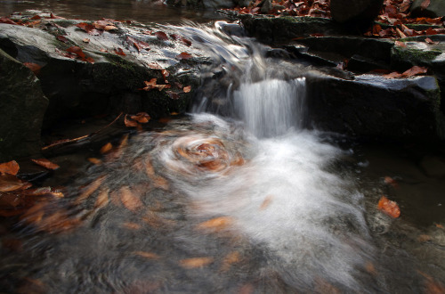 lamus-dworski:Mount Klimaska in the nature reserve covering parts of the Little Beskids mountain ran