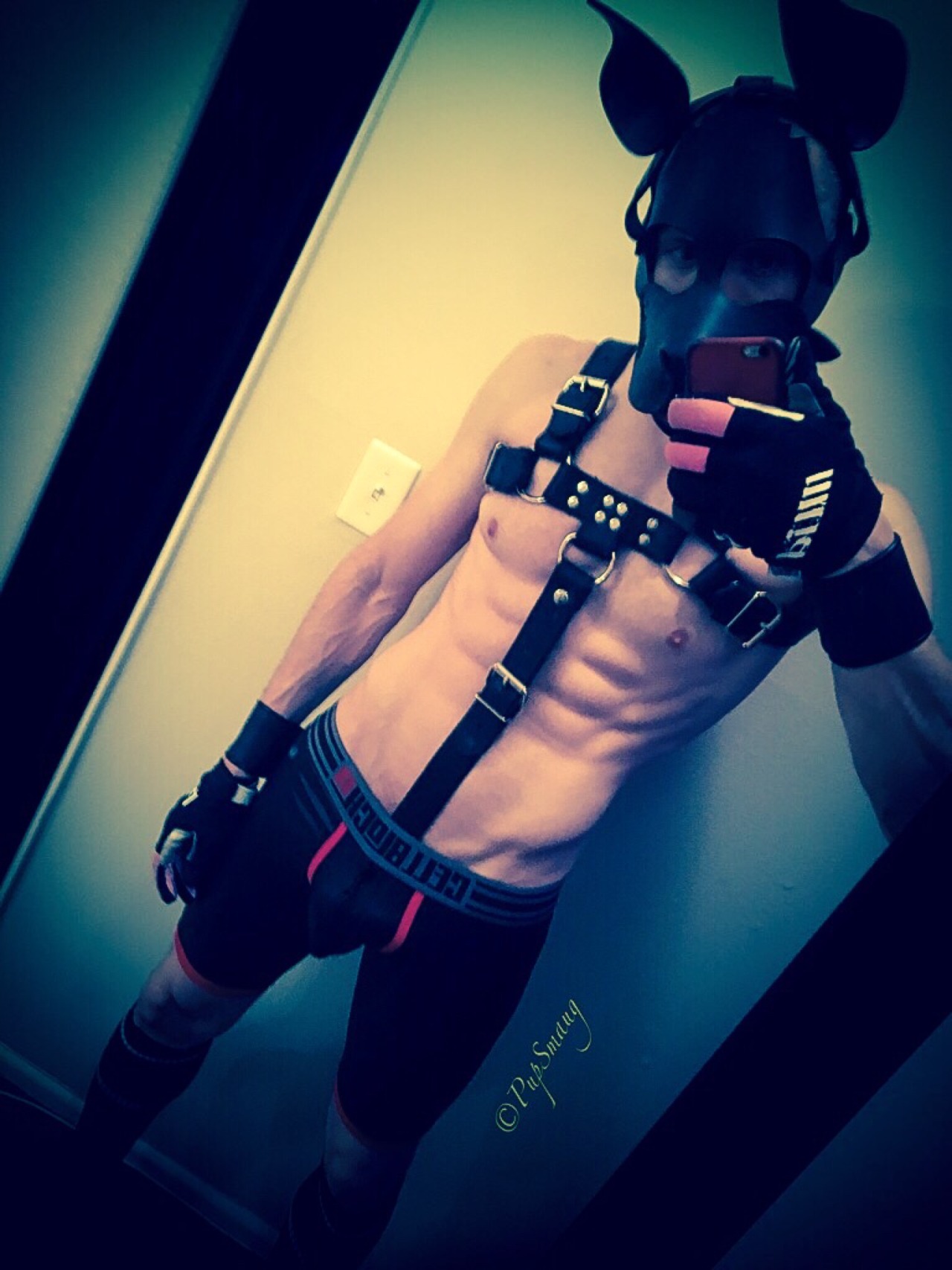 kinkyboyfrance:  pupsmaug:  🐶Arooo. Pup having a great new year. Wags to all my