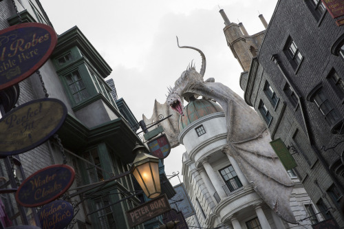 bryantsupreme:The Wizarding World of Harry Potter- Diagon Alley